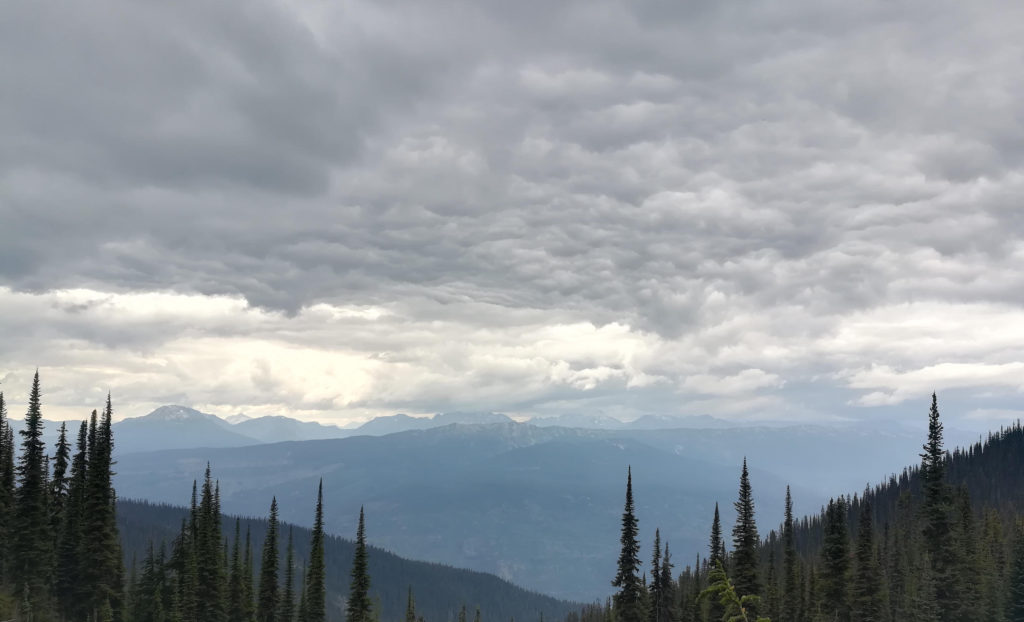 View to the valley on Eva Lake Trail