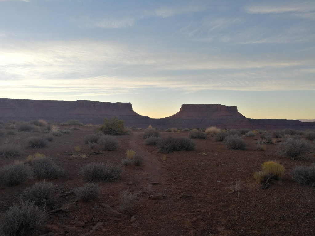 Canyonlands Murphy Trail: Bushes and mountains in the canyon