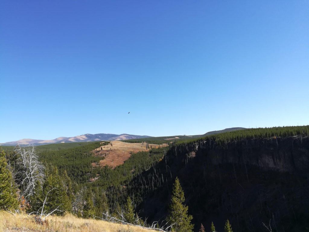 Osprey Falls Trail: View from Top